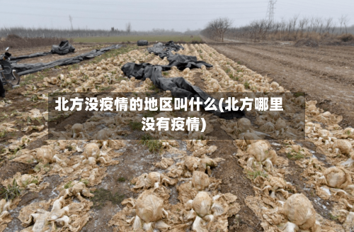 北方没疫情的地区叫什么(北方哪里没有疫情)-第2张图片