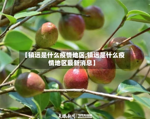 【镇远是什么疫情地区,镇远是什么疫情地区最新消息】-第3张图片