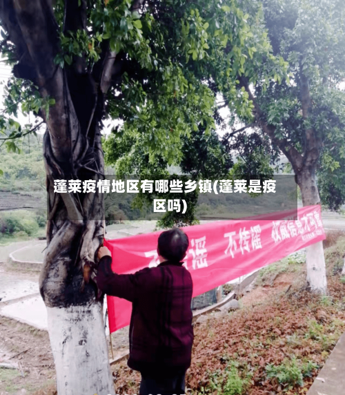 蓬莱疫情地区有哪些乡镇(蓬莱是疫区吗)-第1张图片