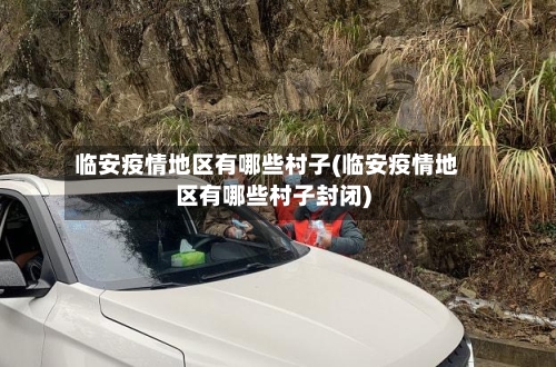 临安疫情地区有哪些村子(临安疫情地区有哪些村子封闭)-第1张图片