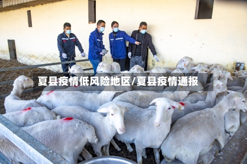 夏县疫情低风险地区/夏县疫情通报-第2张图片