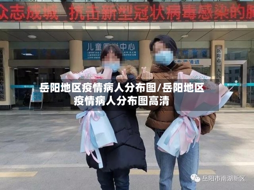 岳阳地区疫情病人分布图/岳阳地区疫情病人分布图高清-第2张图片