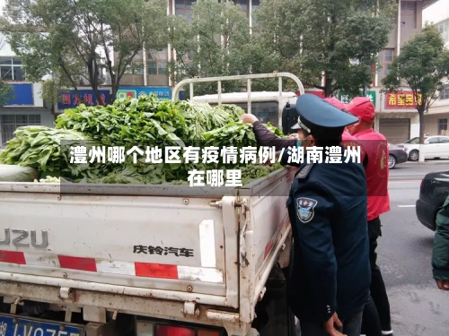 澧州哪个地区有疫情病例/湖南澧州在哪里-第2张图片