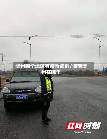澧州哪个地区有疫情病例/湖南澧州在哪里-第1张图片