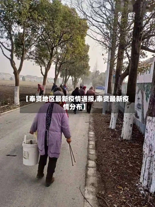 【奉贤地区最新疫情通报,奉贤最新疫情分布】-第1张图片