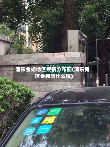 浦东金杨地区疫情分布图(浦东新区金杨路什么镇)-第2张图片