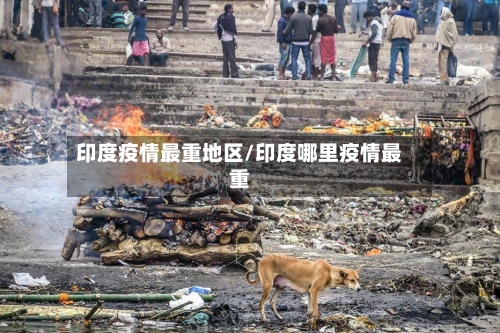 印度疫情最重地区/印度哪里疫情最重-第2张图片