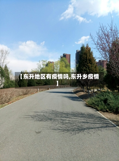 【东升地区有疫情吗,东升乡疫情】-第1张图片