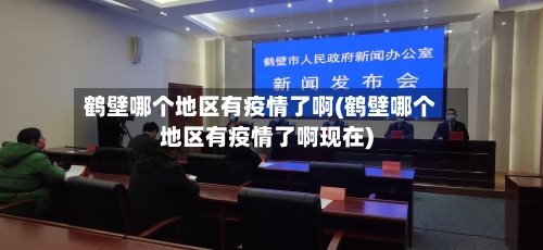 鹤壁哪个地区有疫情了啊(鹤壁哪个地区有疫情了啊现在)-第2张图片