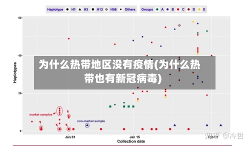 为什么热带地区没有疫情(为什么热带也有新冠病毒)-第1张图片