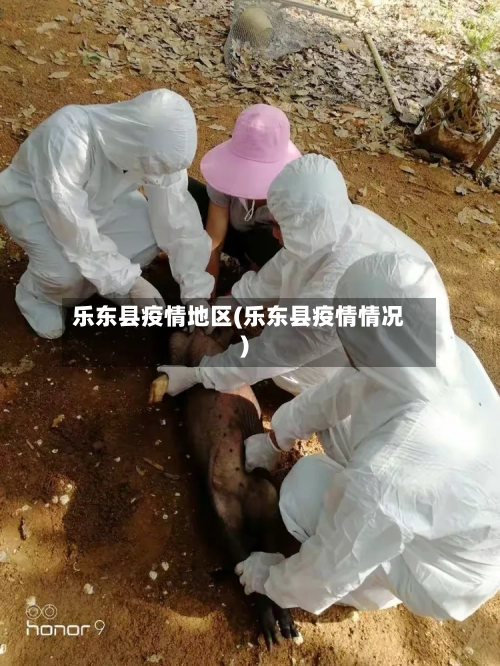乐东县疫情地区(乐东县疫情情况)-第1张图片