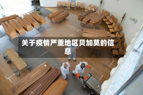 关于疫情严重地区贝加莫的信息-第3张图片