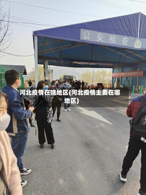 河北疫情在啥地区(河北疫情主要在哪地区)-第2张图片