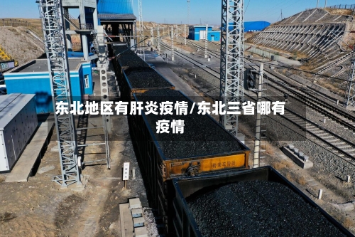 东北地区有肝炎疫情/东北三省哪有疫情-第1张图片