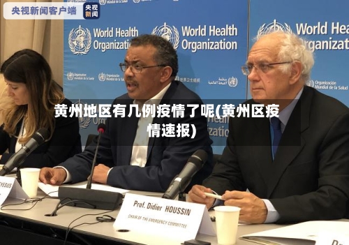 黄州地区有几例疫情了呢(黄州区疫情速报)-第1张图片