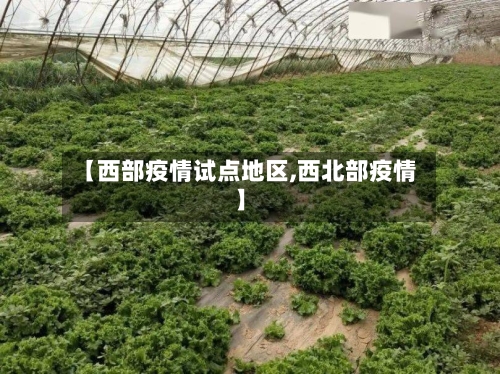 【西部疫情试点地区,西北部疫情】-第2张图片