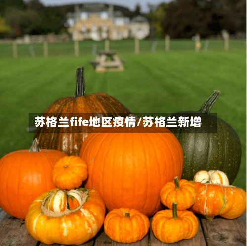 苏格兰fife地区疫情/苏格兰新增-第1张图片