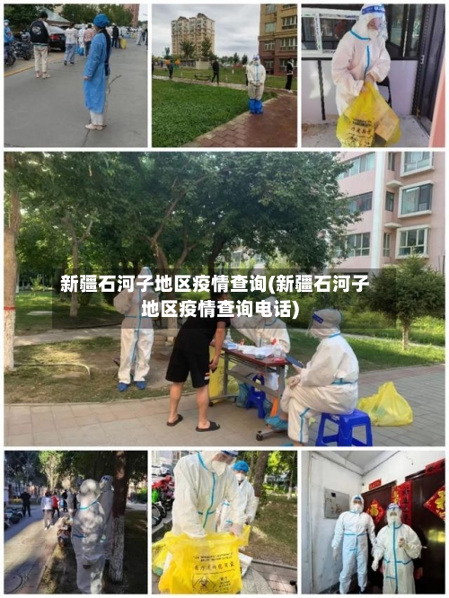 新疆石河子地区疫情查询(新疆石河子地区疫情查询电话)-第2张图片