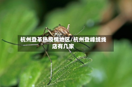 杭州登革热疫情地区/杭州登峰绒线店有几家-第1张图片
