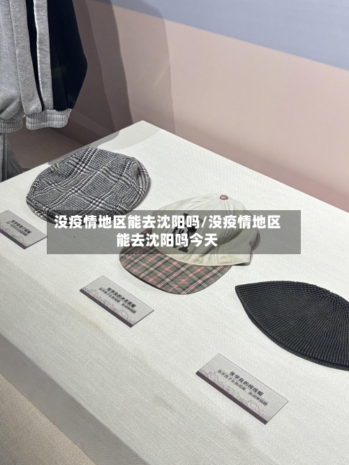 没疫情地区能去沈阳吗/没疫情地区能去沈阳吗今天-第3张图片