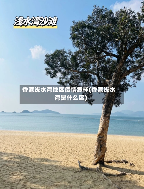 香港浅水湾地区疫情怎样(香港浅水湾是什么区)-第1张图片