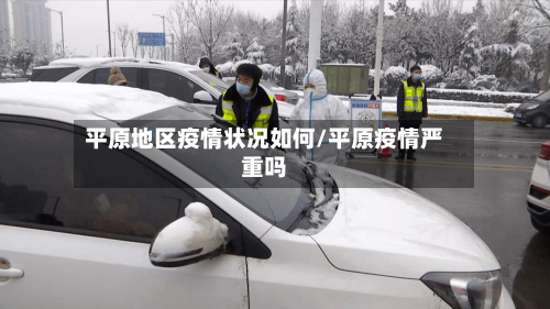 平原地区疫情状况如何/平原疫情严重吗-第1张图片
