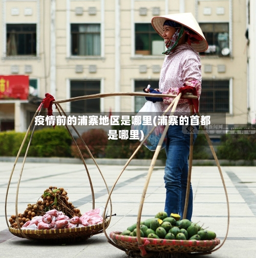 疫情前的浦寨地区是哪里(浦寨的首都是哪里)-第1张图片