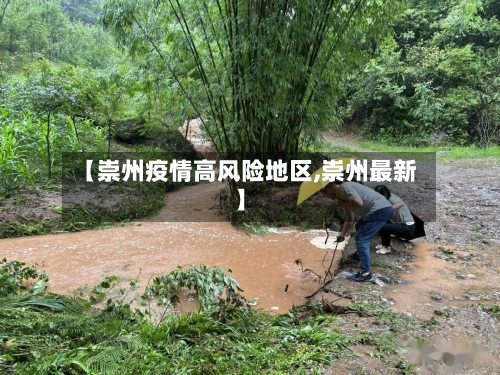 【崇州疫情高风险地区,崇州最新】-第2张图片