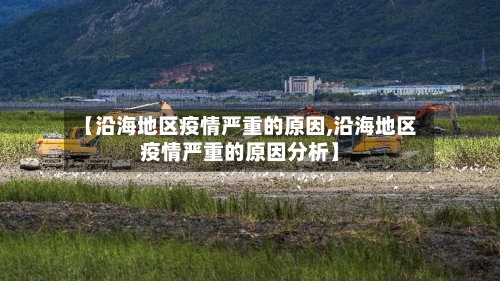 【沿海地区疫情严重的原因,沿海地区疫情严重的原因分析】-第2张图片