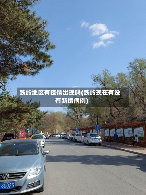 铁岭地区有疫情出现吗(铁岭现在有没有新增病例)-第2张图片