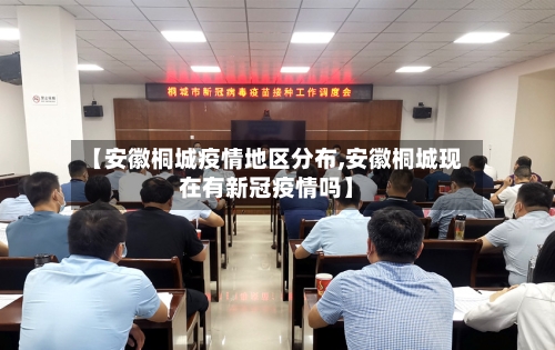 【安徽桐城疫情地区分布,安徽桐城现在有新冠疫情吗】-第1张图片