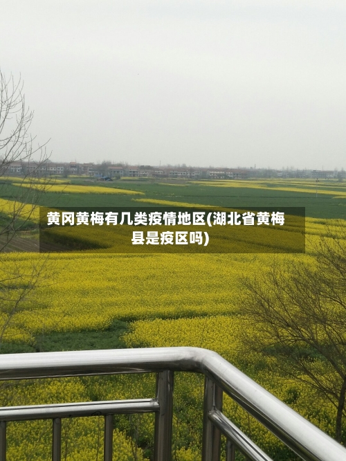 黄冈黄梅有几类疫情地区(湖北省黄梅县是疫区吗)-第1张图片