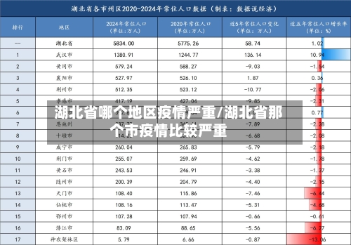 湖北省哪个地区疫情严重/湖北省那个市疫情比较严重-第2张图片