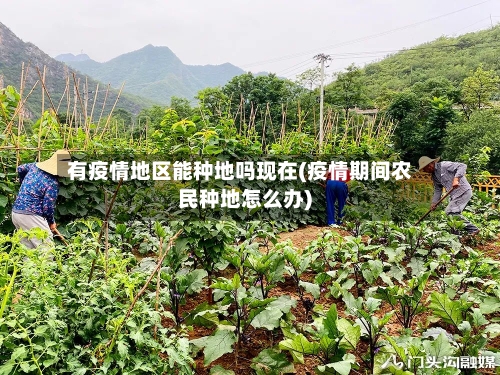 有疫情地区能种地吗现在(疫情期间农民种地怎么办)-第2张图片