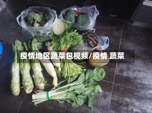 疫情地区蔬菜包视频/疫情 蔬菜-第3张图片