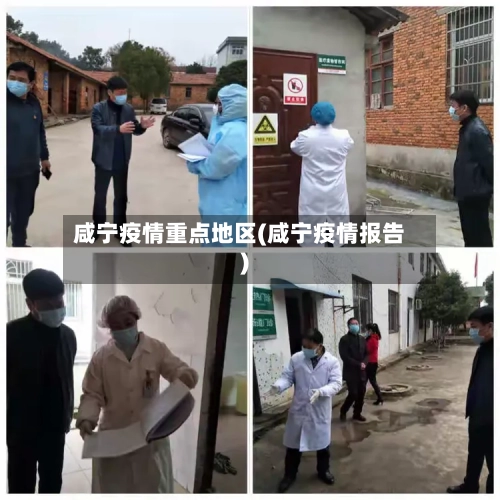 咸宁疫情重点地区(咸宁疫情报告)-第1张图片