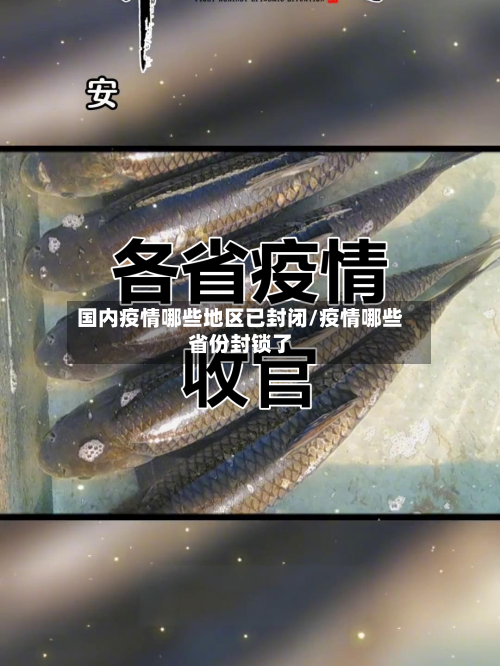 国内疫情哪些地区已封闭/疫情哪些省份封锁了-第1张图片