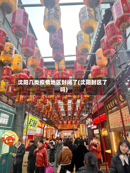 沈阳几类疫情地区封闭了(沈阳封区了吗)-第1张图片