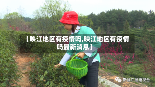 【映江地区有疫情吗,映江地区有疫情吗最新消息】-第2张图片
