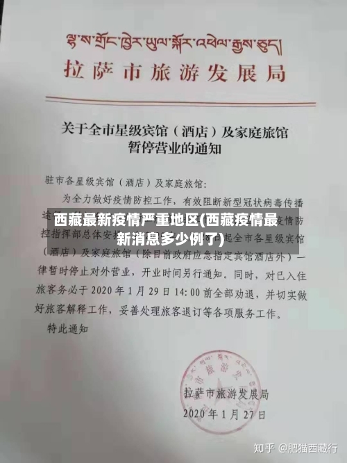 西藏最新疫情严重地区(西藏疫情最新消息多少例了)-第2张图片