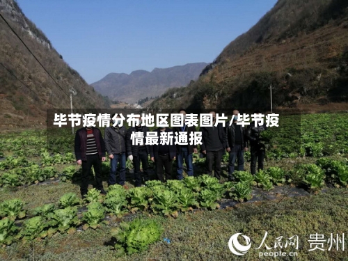 毕节疫情分布地区图表图片/毕节疫情最新通报-第2张图片