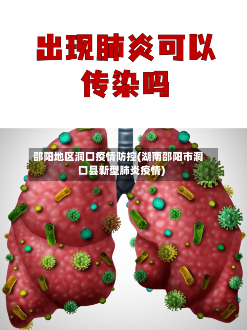 邵阳地区洞口疫情防控(湖南邵阳市洞口县新型肺炎疫情)-第2张图片