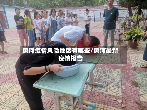 唐河疫情风险地区有哪些/唐河最新疫情报告-第2张图片
