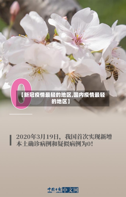 【新冠疫情最轻的地区,国内疫情最轻的地区】-第2张图片