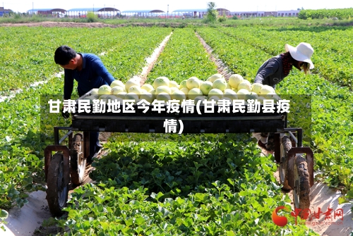 甘肃民勤地区今年疫情(甘肃民勤县疫情)-第1张图片