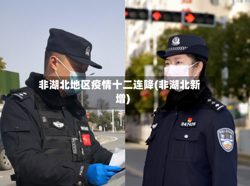 非湖北地区疫情十二连降(非湖北新增)-第1张图片