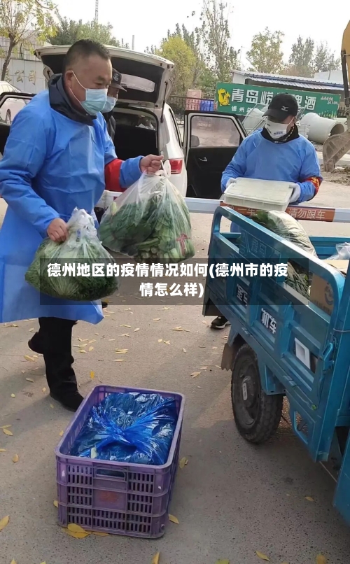 德州地区的疫情情况如何(德州市的疫情怎么样)-第3张图片