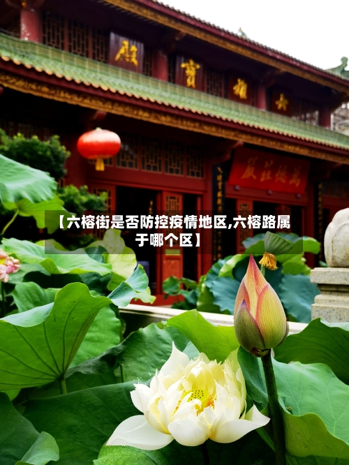 【六榕街是否防控疫情地区,六榕路属于哪个区】-第1张图片