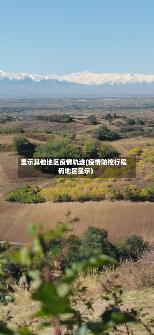 显示其他地区疫情轨迹(疫情防控行程码地区显示)-第1张图片