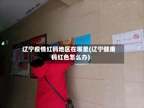 辽宁疫情红码地区在哪里(辽宁健康码红色怎么办)-第1张图片